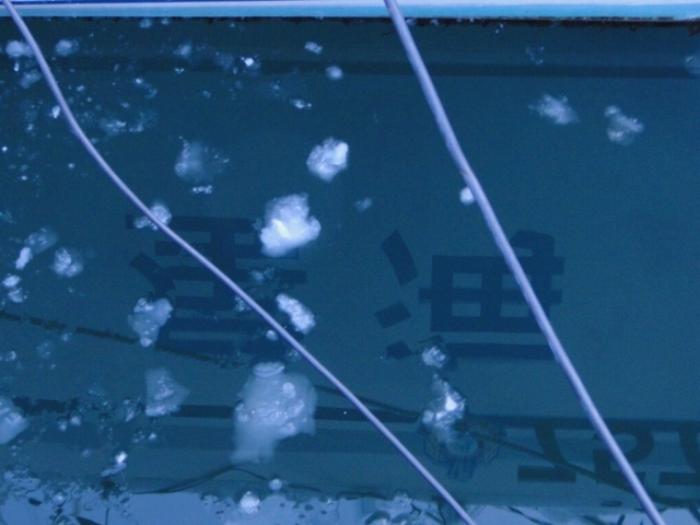 c0183777_8361879.jpg