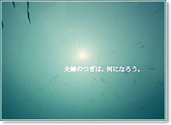 【夫婦のつぎは、何になろう。】今日のコピーvol.011_a0168678_23404829.jpg