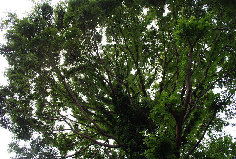 d0049381_22561693.jpg