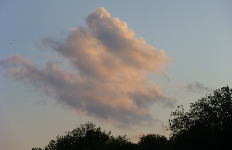 c0180686_8242510.jpg