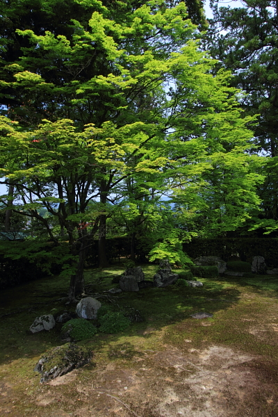 洛北・庭園めぐり_e0051888_22581283.jpg