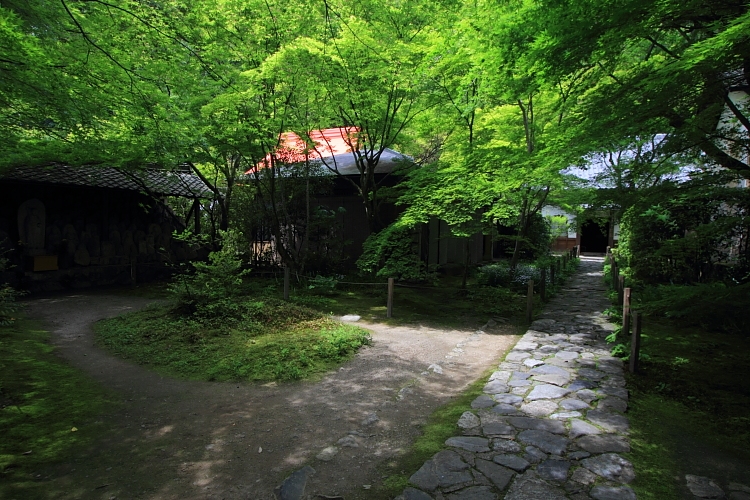 洛北・庭園めぐり_e0051888_230339.jpg