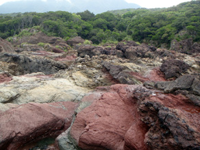 c0018489_220263.jpg