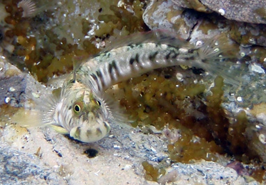 c0018489_23454130.jpg