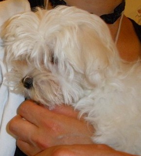 c0135690_1125037.jpg