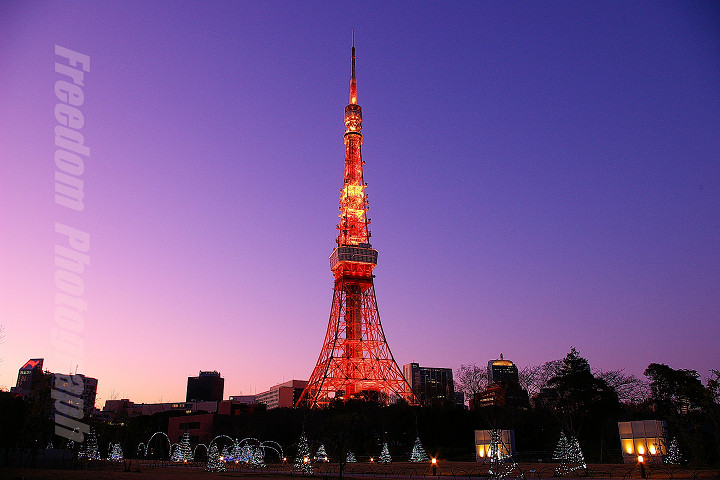 Tokyo Tower in Blue moment_d0153990_202218100.jpg