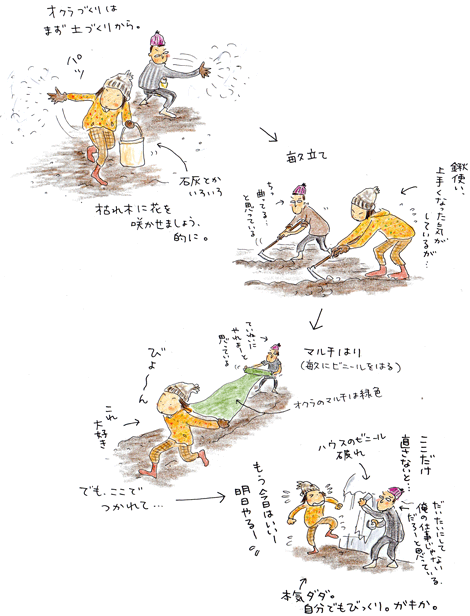 オクラ日記 vol.1 種蒔き以前~芽生え_f0236291_6174886.gif