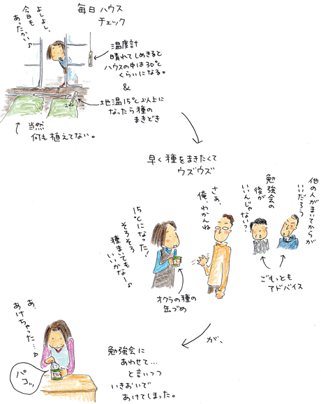 オクラ日記 vol.1 種蒔き以前~芽生え_f0236291_6182580.gif