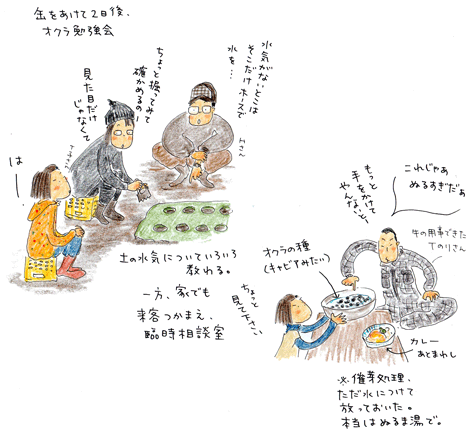オクラ日記 vol.1 種蒔き以前~芽生え_f0236291_6196100.gif