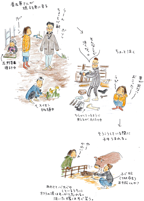 オクラ日記 vol.1 種蒔き以前~芽生え_f0236291_6203131.gif