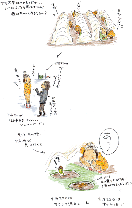 オクラ日記 vol.1 種蒔き以前~芽生え_f0236291_621843.gif
