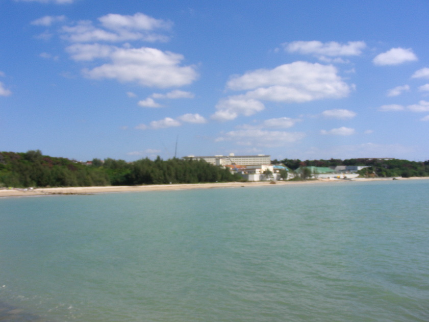 b0017892_2062924.jpg