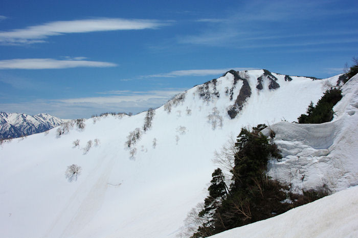 c0061695_1101511.jpg