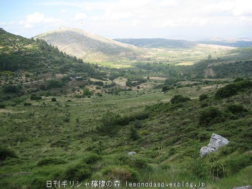 c0010496_23265363.jpg