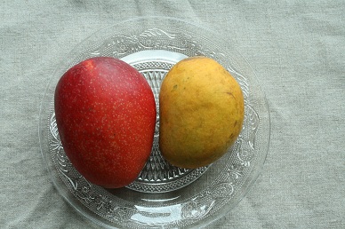 Mango_d0088196_23192137.jpg