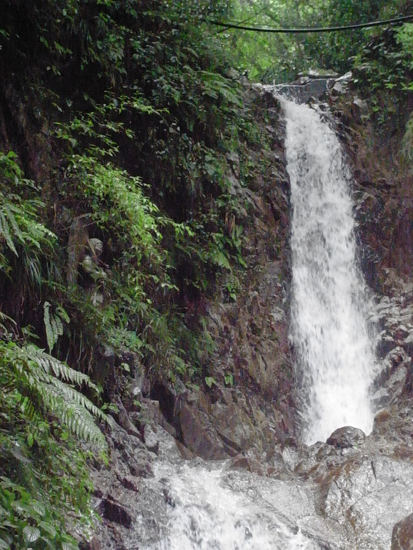 e0111396_235611.jpg