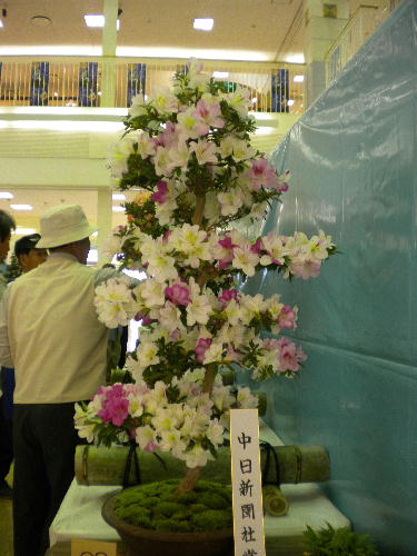 e0179098_11594512.jpg