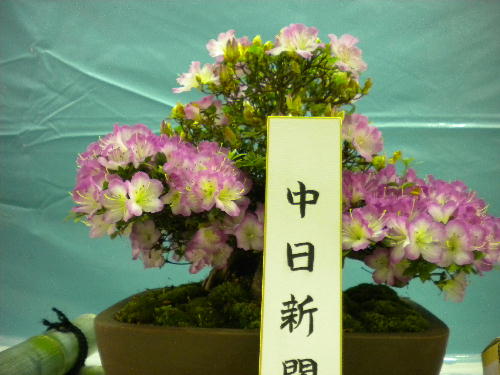 e0179098_1203361.jpg
