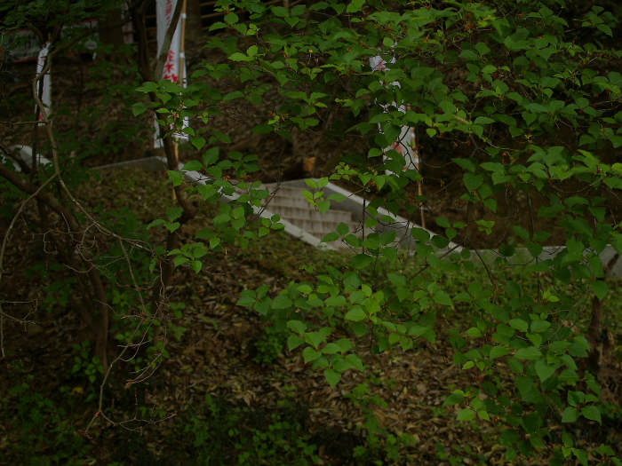 f0175998_8143213.jpg