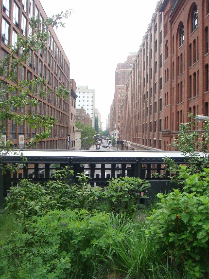 チェルシー「High Line｣_b0118001_2362254.jpg