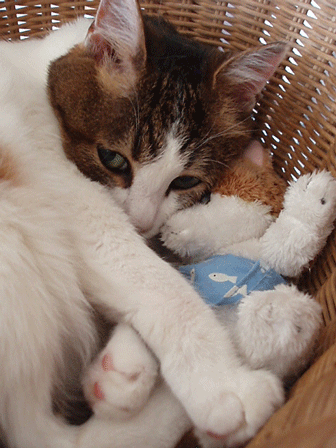 c0129702_2211995.gif