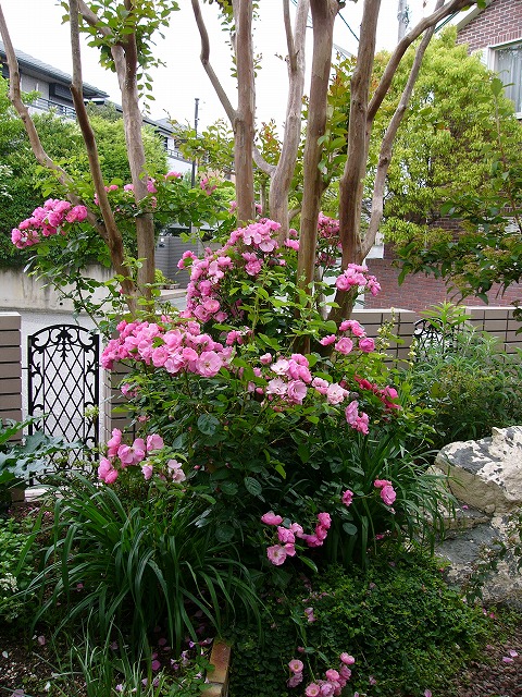 a0123003_21104647.jpg