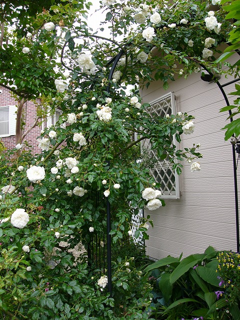 a0123003_2131318.jpg