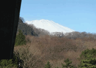 a0071805_16315891.gif