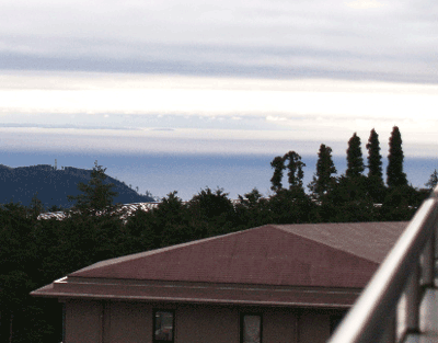 a0071805_16435062.gif