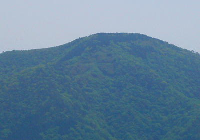 a0071805_16453515.gif