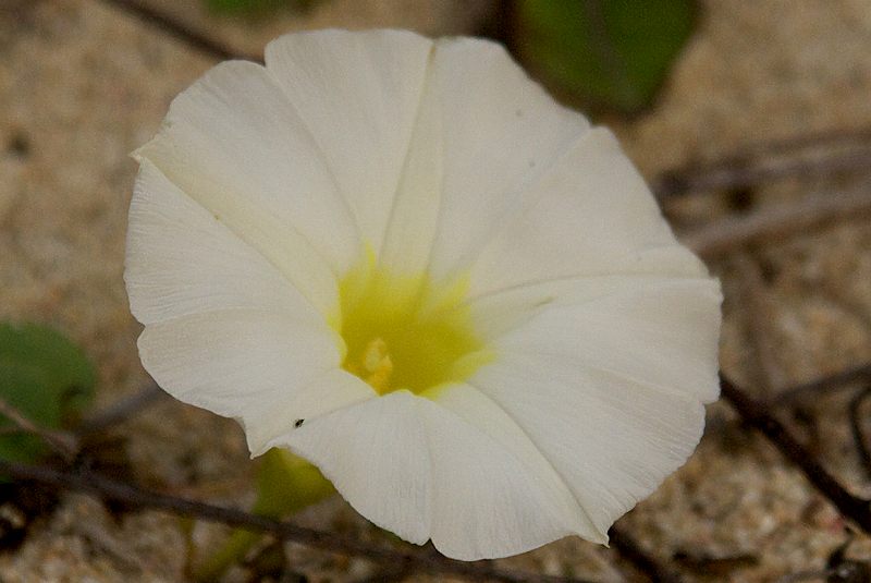 b0174905_5333449.jpg