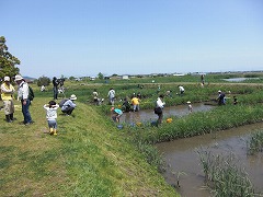 東近江親子環境学習講座 「西の湖ふれあいの日」_e0093407_1212510.jpg