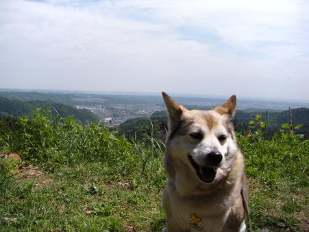 滝沢林道_f0057509_181578.jpg