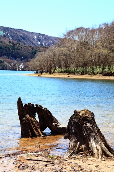 c0146510_1738257.jpg