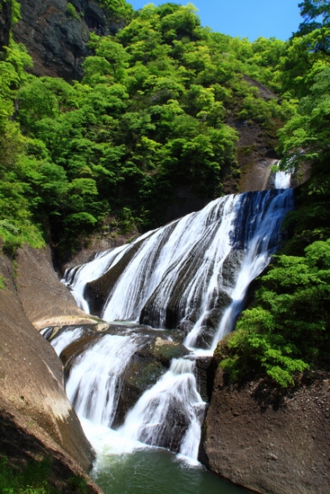 c0146510_1745108.jpg
