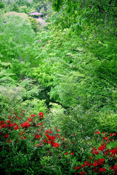 b0130112_21425552.jpg