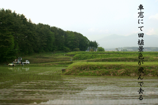 田植_e0099713_19391771.jpg