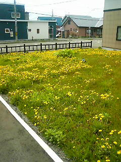 f0212313_1102766.jpg