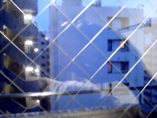 c0087320_2194555.jpg