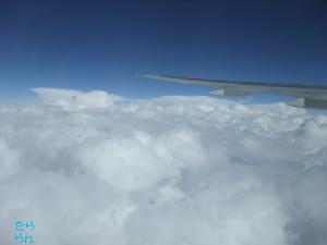 c0227522_8342529.jpg