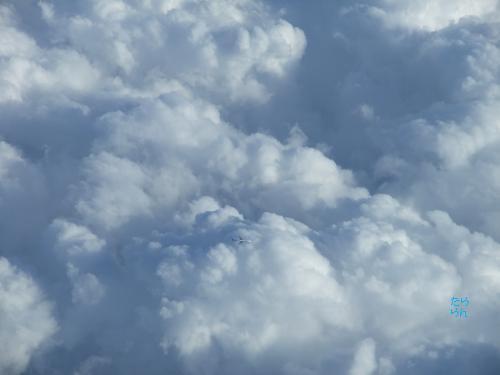 c0227522_837136.jpg