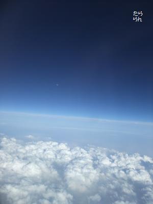 c0227522_8374988.jpg