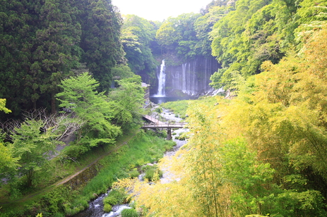 休日　富士へ_f0105425_1328181.jpg