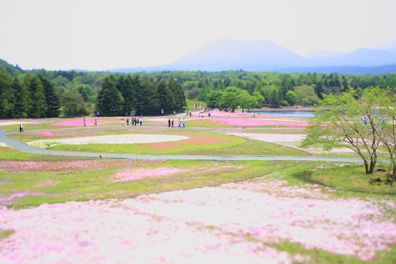 休日　富士へ_f0105425_1375461.jpg