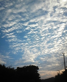 c0109726_1755792.jpg