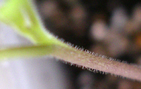 f0108133_22591213.jpg