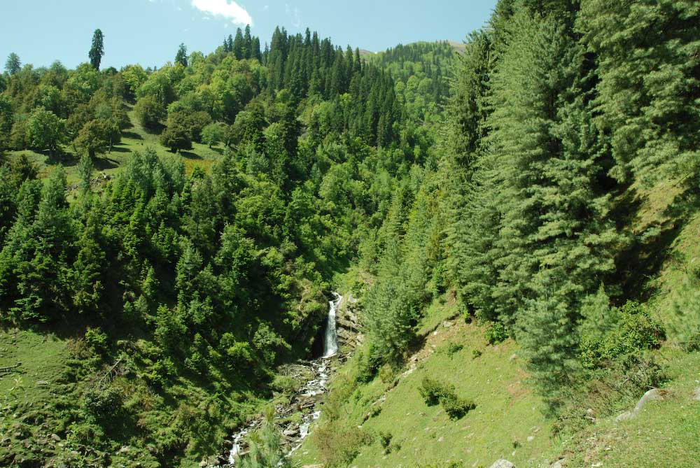 b0142435_21582858.jpg