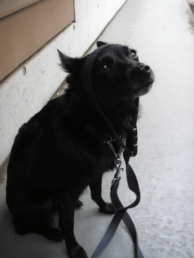 d0049135_13465694.gif