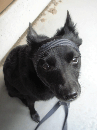 d0049135_13503977.gif