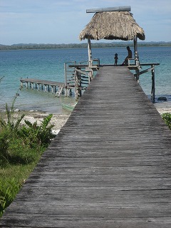 d0109335_147270.jpg
